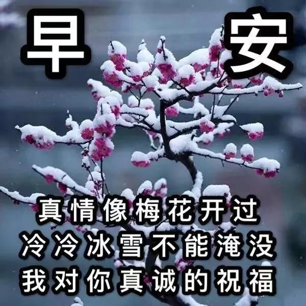 心怀感恩，幸福常在。快乐属于知足者，幸福属于感恩者，早安