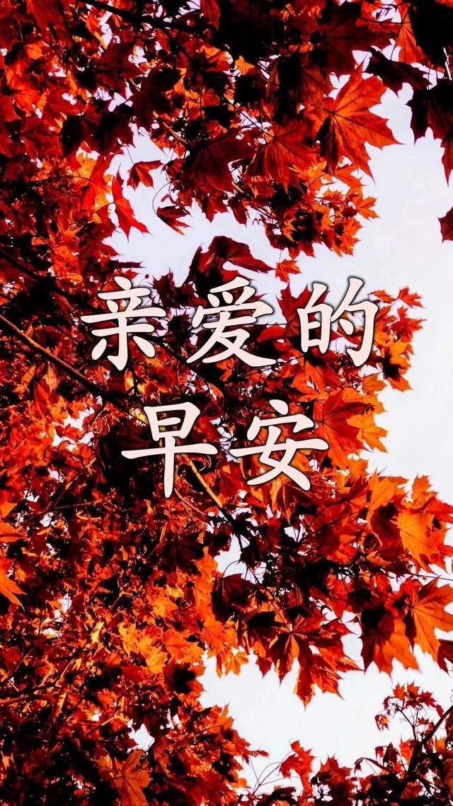 心怀感恩，幸福常在。快乐属于知足者，幸福属于感恩者，早安