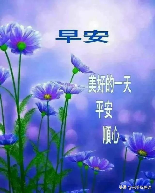 早上好，一声问候一个祝福，致最爱的朋友