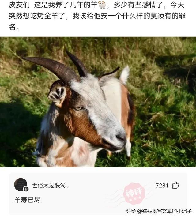 这聚会取个什么名字合适