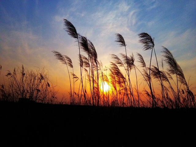 夕阳西下的唯美句子，日落朋友圈心情短语