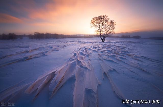 适合摘抄的经典优美句子