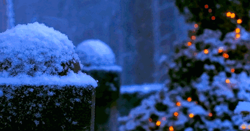 诗词鉴赏-冬天最爱下雪天，十二首喜雪的诗词，每一句都很唯美