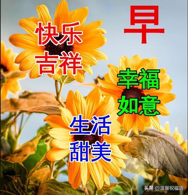 12月29日最新早上好动态表情图片大全，清晨早上好问候语