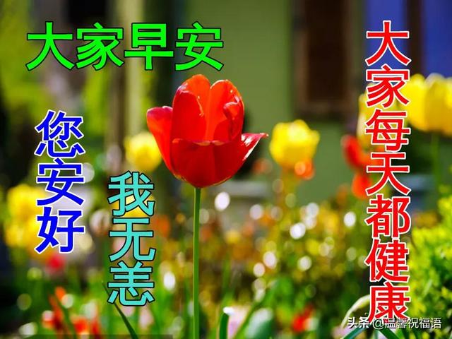 12月29日最新早上好动态表情图片大全，清晨早上好问候语