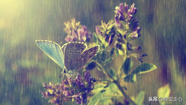 适合下雨天的心情说说，三分文艺，七分忧伤