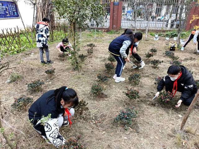 最美初冬校园时光，每一瞬间都让你心动~（小学篇）