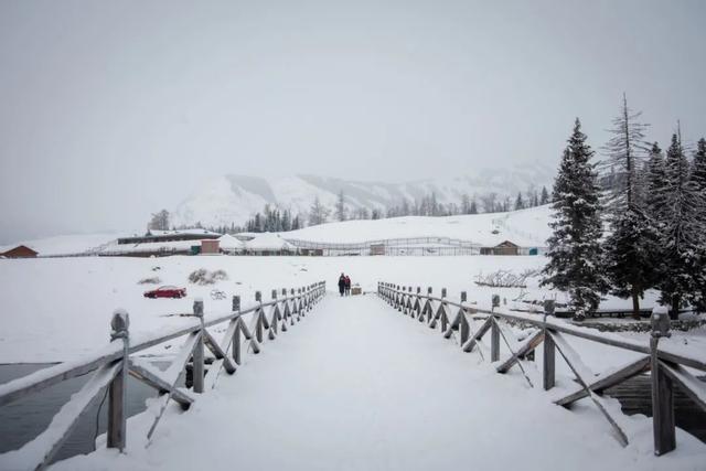 最美的10首冬至诗词，新雪玲珑，梅花欲开，醉美了整个冬天