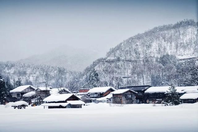 最美的10首冬至诗词，新雪玲珑，梅花欲开，醉美了整个冬天