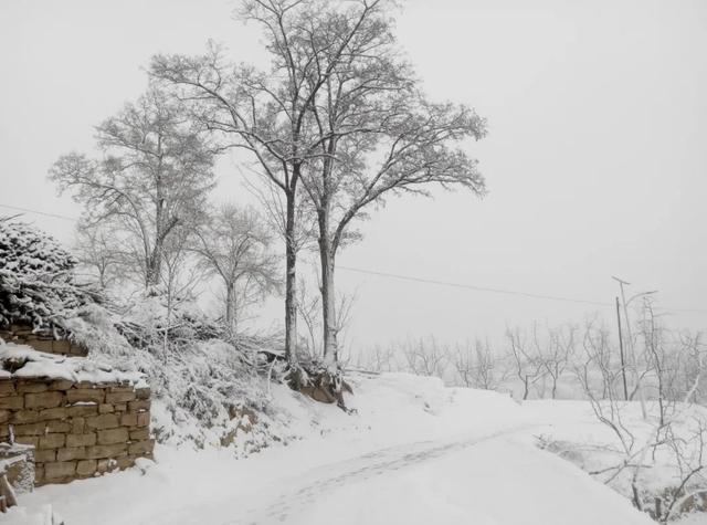 最美的10首冬至诗词，新雪玲珑，梅花欲开，醉美了整个冬天