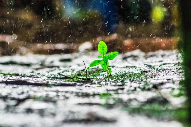 20首微雨诗词，雨落长空，打湿了谁的思念