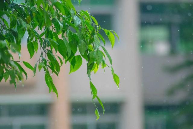 20首微雨诗词，雨落长空，打湿了谁的思念