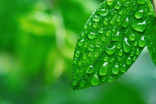 20首微雨诗词，雨落长空，打湿了谁的思念