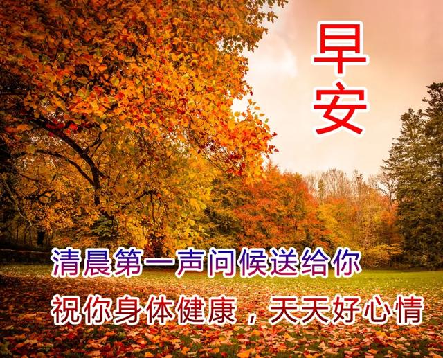 适合发朋友圈的早安语录 早上发朋友圈精美句子