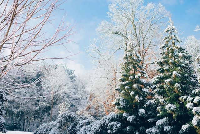 16首经典咏雪诗词，冬如画，雪如诗，赏尽冬雪之雪