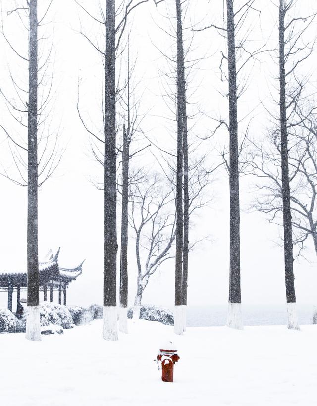 16首经典咏雪诗词，冬如画，雪如诗，赏尽冬雪之雪