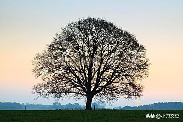 中国最美的20首现代情诗节选，是否早已把你打动！（上）