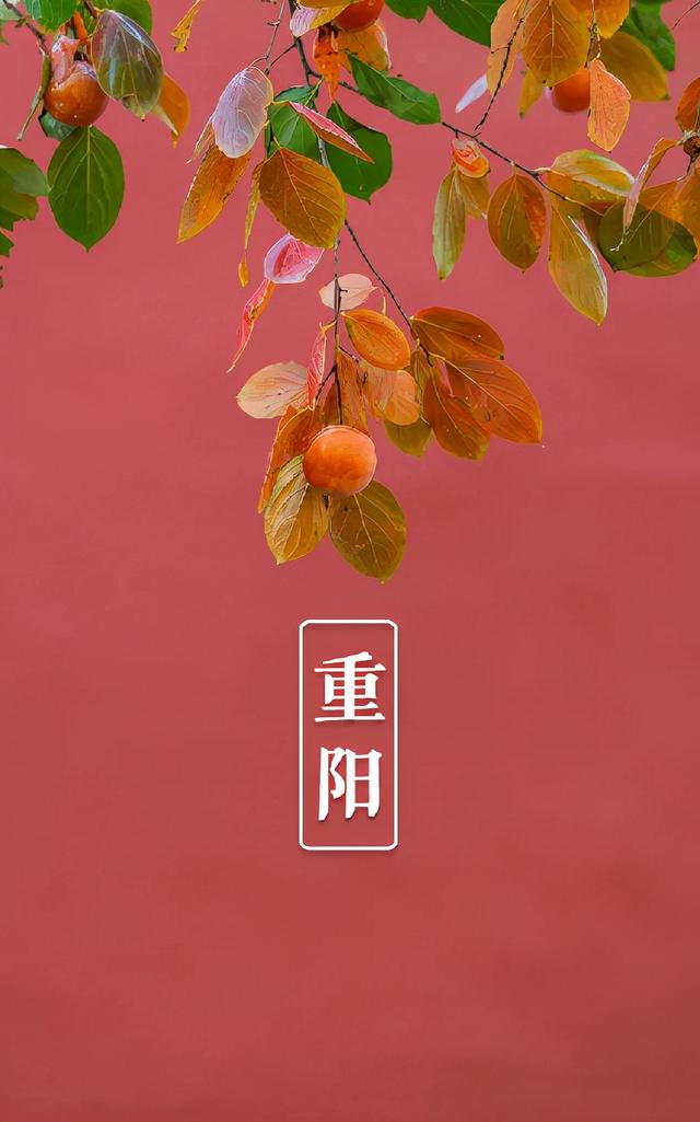 又是一年重阳节，十三首重阳节的诗词，今年重阳，我们在诗意度过