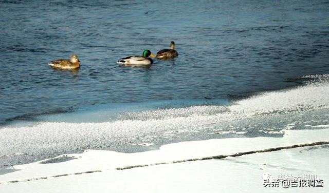 今天惊蛰！春回大地，冰雪消融，万物复苏，一片生机盎然……