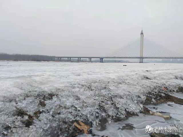 今天惊蛰！春回大地，冰雪消融，万物复苏，一片生机盎然……