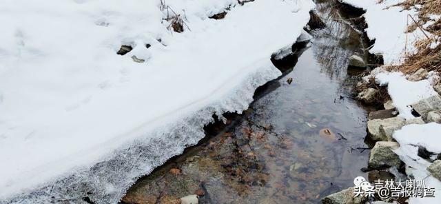 今天惊蛰！春回大地，冰雪消融，万物复苏，一片生机盎然……