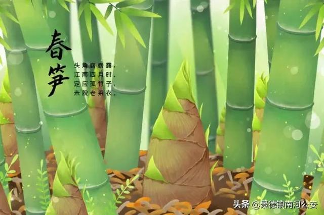 诗词丨100首唯美春日古诗词：花已初开，愿君常在