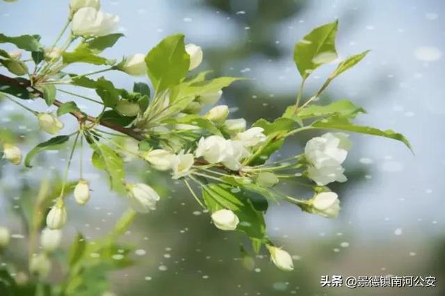 诗词丨100首唯美春日古诗词：花已初开，愿君常在