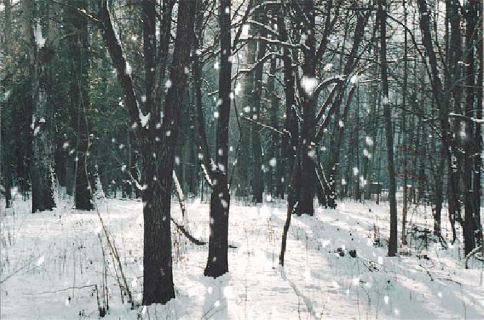 「诗词鉴赏」诗向雪中归，十首看雪的诗词，在古诗词里看雪赏雪