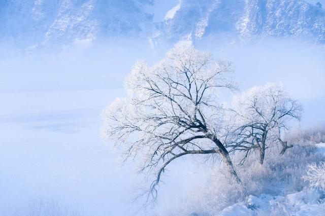 「诗词鉴赏」诗向雪中归，十首看雪的诗词，在古诗词里看雪赏雪
