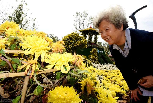 10首重阳节的诗词：九月九日望乡台，他席他乡送客杯