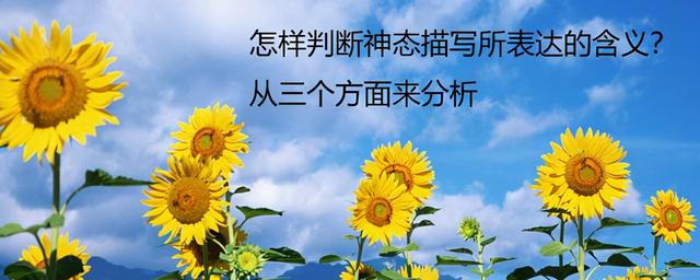 在人物描写中，怎样判断神态描写所表达的含义？从三个方面来分析