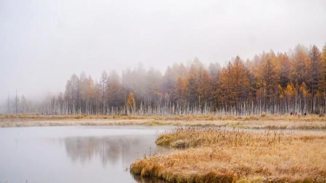 秋天最美的10个瞬间，风清露白，桂子飘香，醉了人间