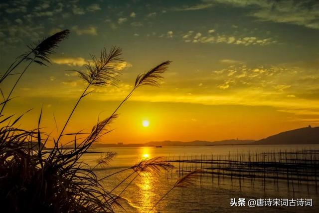 夕阳无限好，犹能灿长天