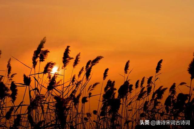 夕阳无限好，犹能灿长天