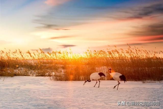 夕阳无限好，犹能灿长天