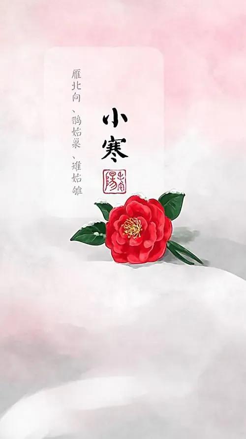 小寒节气祝福语精选，唯美特别暖心的问候句子大全，新年祝你快乐