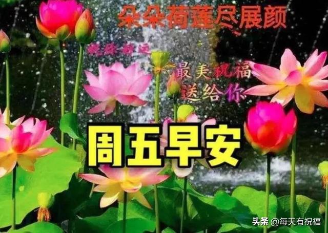 最新早安问候语表情图，祝福你：身安、心安、一生平安