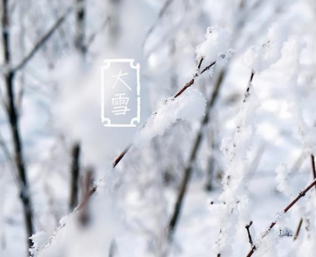 大雪节气给长辈好听的祝福语 2021大雪节气的优美早安文案