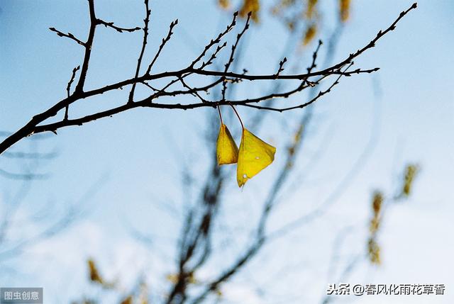 不同季节的风有各自的特点，你会描写风吗？收藏关于风的好句好段