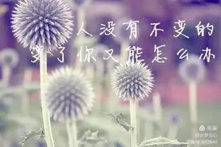 “我自风情万种，与世无争。”