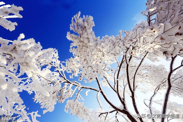 雪似梅花 梅花似雪 似和不似都奇绝