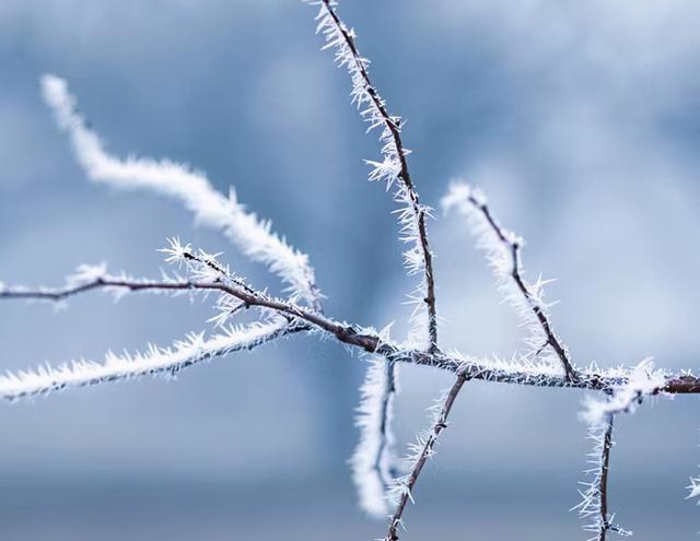 12月，致自己：加油！熬过去，就是光辉岁月