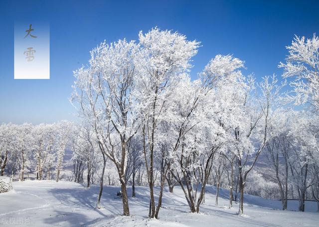 “冷不冷，就看大雪”！明年春节冷不冷？看看大雪的农谚