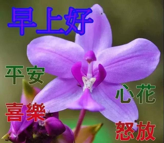 早安吉祥：一个善意的行动，胜过千言万语，早安