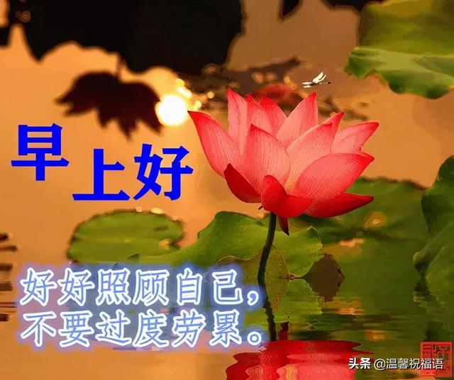 12月28日星期二最新版早安祝福图片 微信群发暖人心的早上好问候语