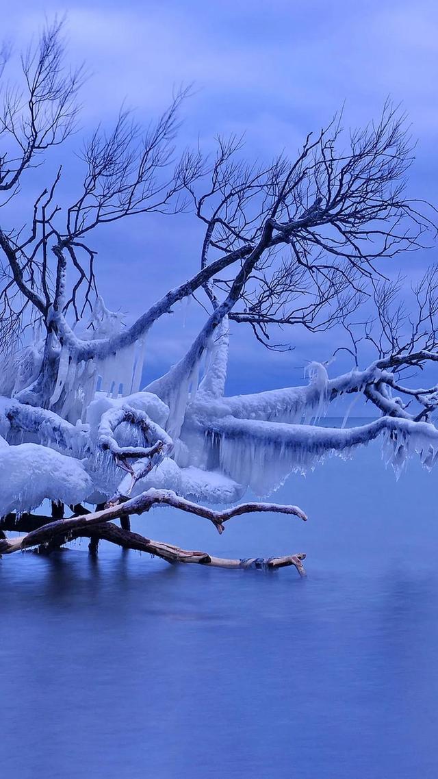 烹雪煮茶，围炉夜话，冬天古诗词，温馨而惬意，值得收藏