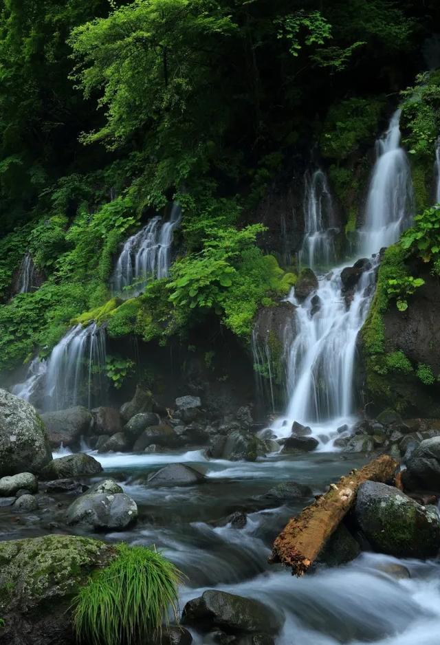 「诗词鉴赏」八首唯美五绝诗中的夏日，飘逸灵动，意境幽远