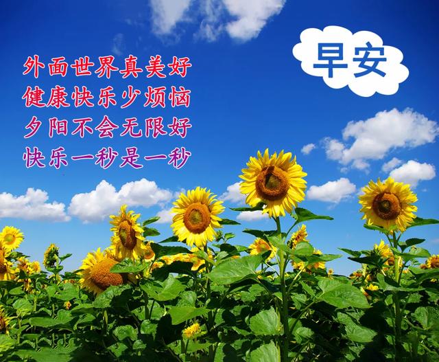 早安，祝朋友们家庭幸福久久，事业顺利久久