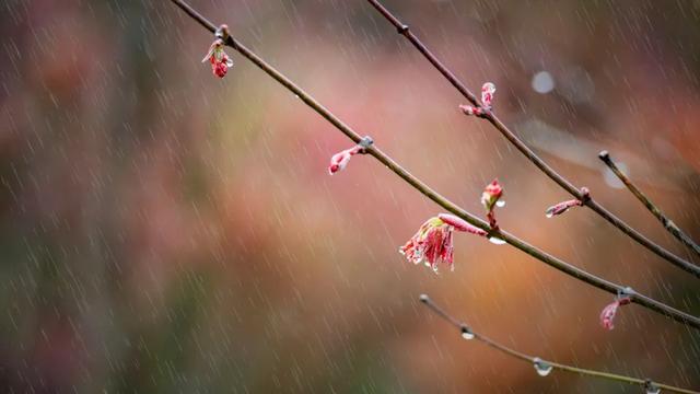 下雨时，最适合发朋友圈的30句诗词