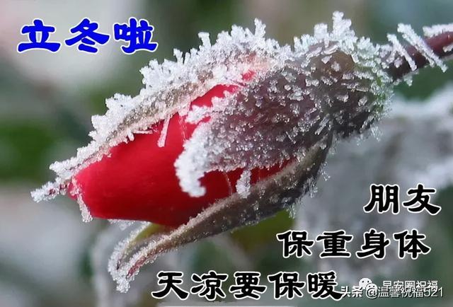 ​冬日祝福语，立冬祝福：增衣防寒，多多锻炼，健康永远